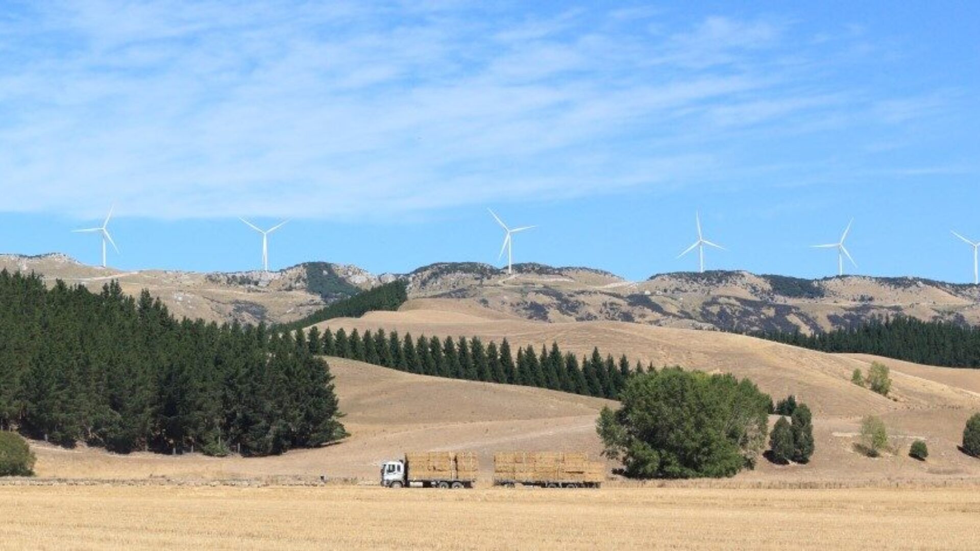 Mt Cass Wind Farm cropped