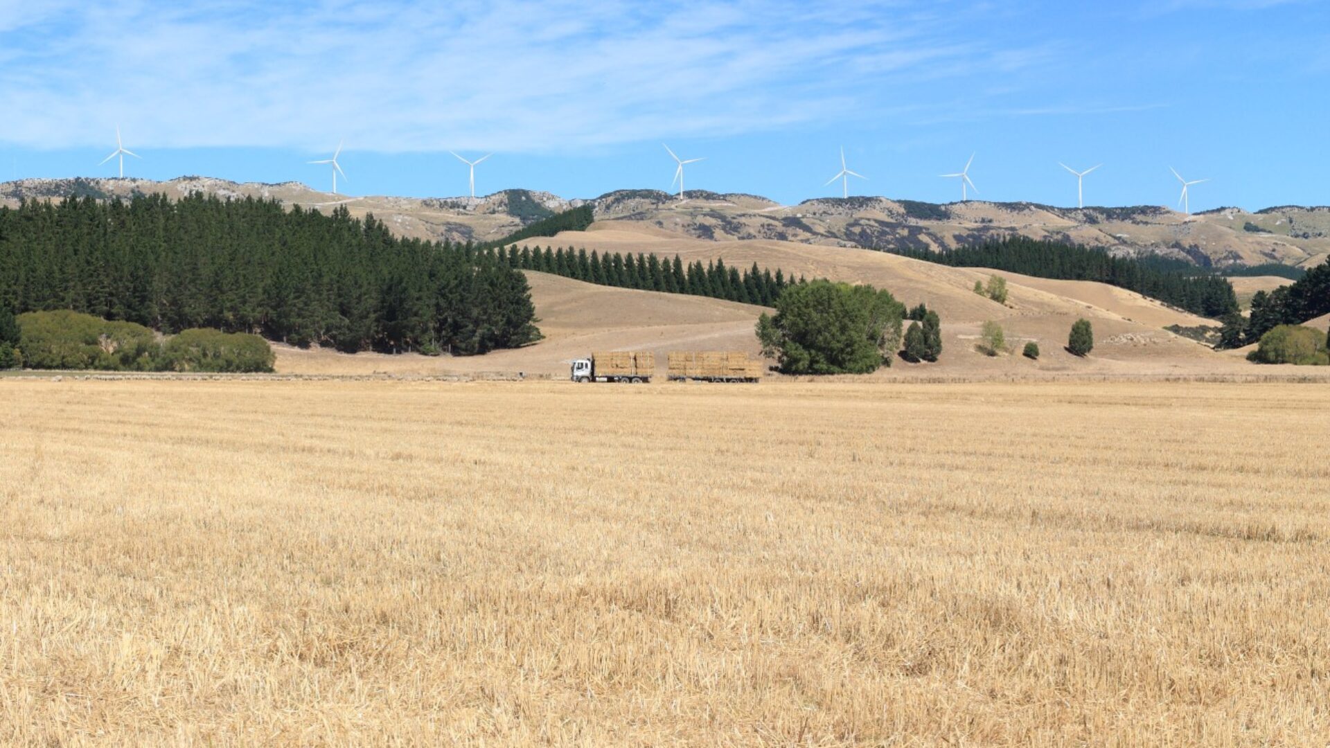 Mt Cass Wind Farm transitions to new delivery model
